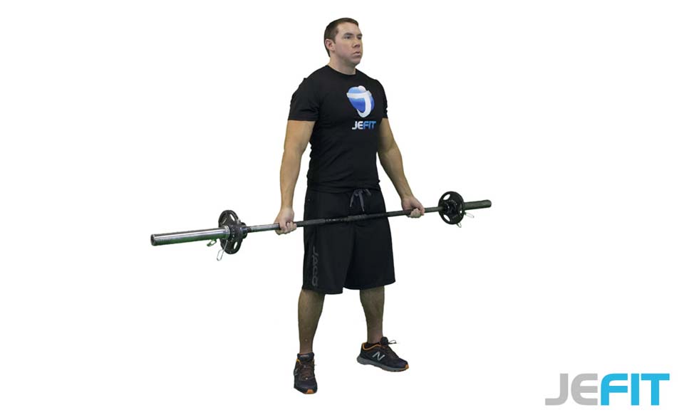 Barbell Bicep Curl (Wide Grip)