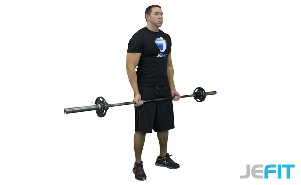 Barbell Curl