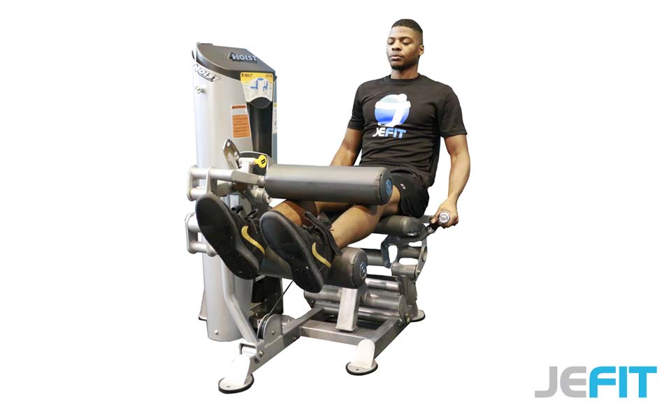 Machine Seated Leg Curl